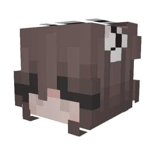 SomeGuysFriend Minecraft avatar head, 3D render