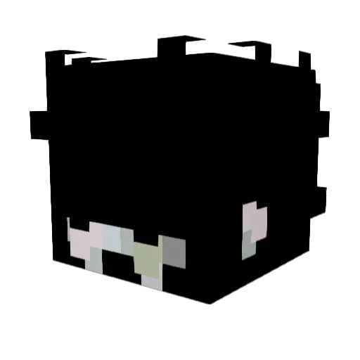 SomeJuan456 Minecraft avatar head, 3D render