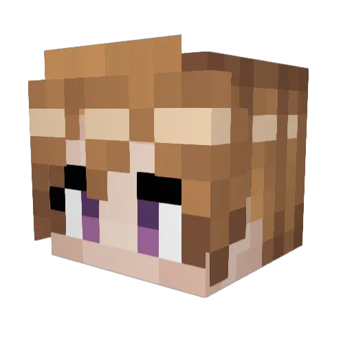 SomeLazyGamer Minecraft avatar head, 3D render