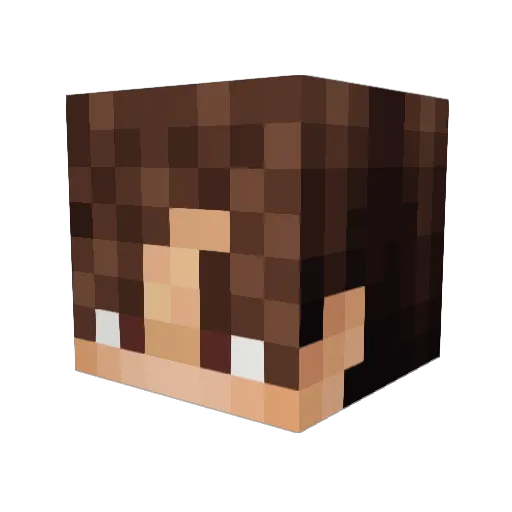 SomeMarcus_ Minecraft avatar head, 3D render