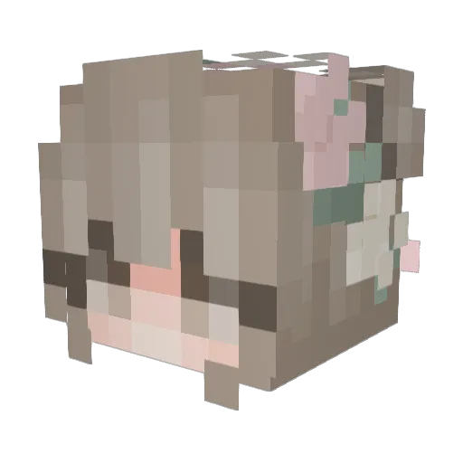 SomeMeg Minecraft avatar head, 3D render