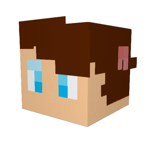 SomeMinecraftBoi Minecraft avatar head, 3D render