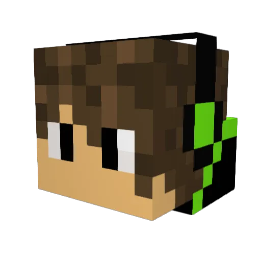 SomePandaDude Minecraft avatar head, 3D render