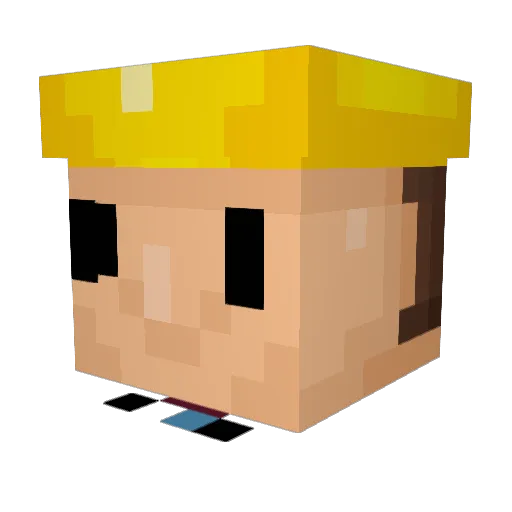 SomePenguins Minecraft avatar head, 3D render