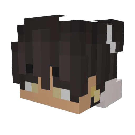 SomeRandomFurry3 Minecraft avatar head, 3D render