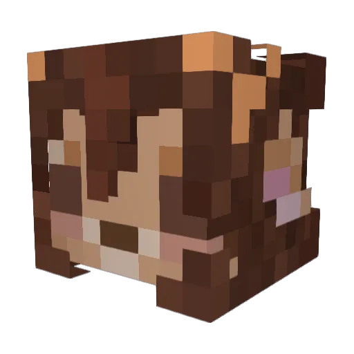 SomeRandomHouse Minecraft avatar head, 3D render