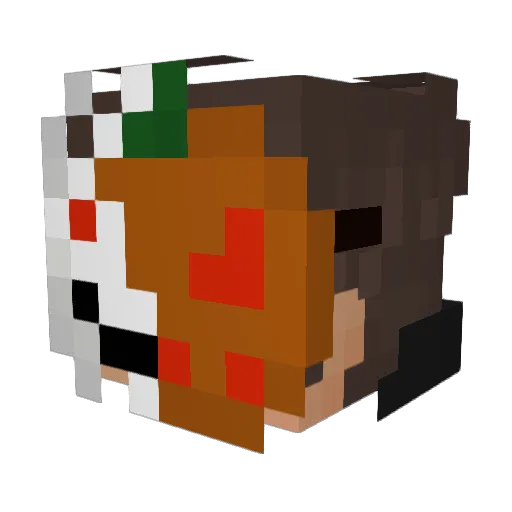 SomeSeriousGuy Minecraft avatar head, 3D render