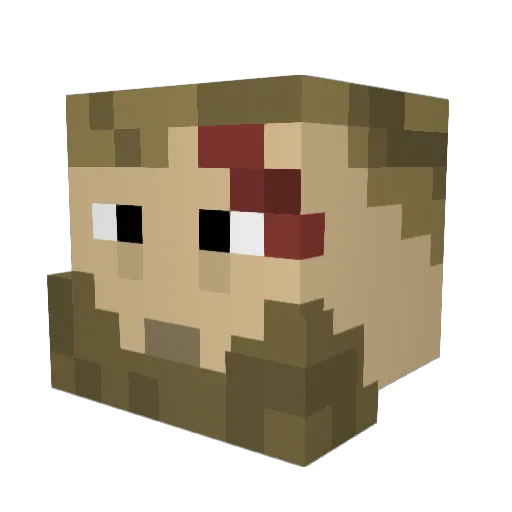 SomeSnow Minecraft avatar head, 3D render