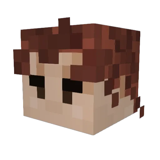 SomeSpooks Minecraft avatar head, 3D render