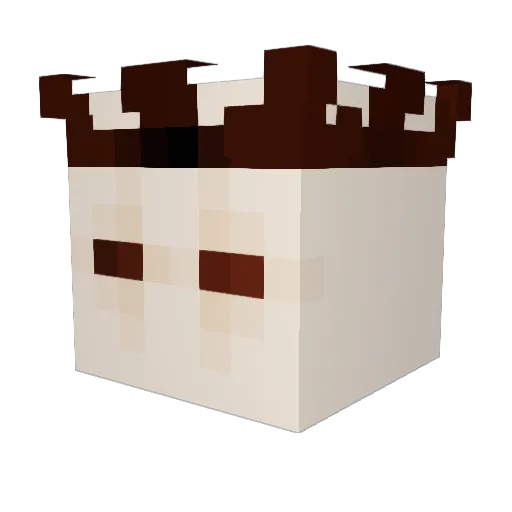SomeSun43227740 Minecraft avatar head, 3D render