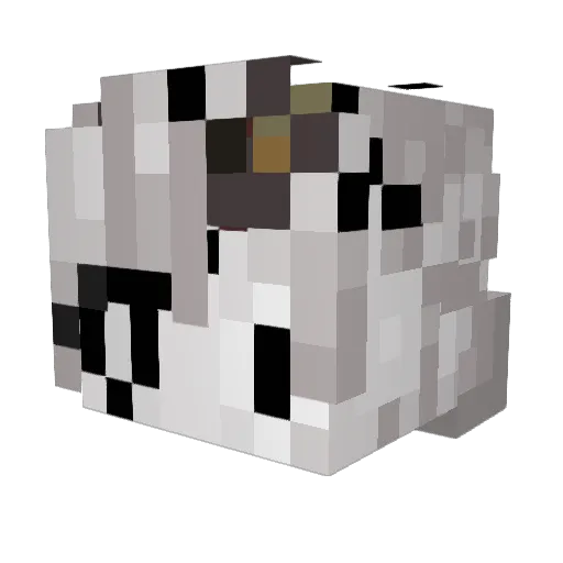 SomeTrainboy Minecraft avatar head, 3D render