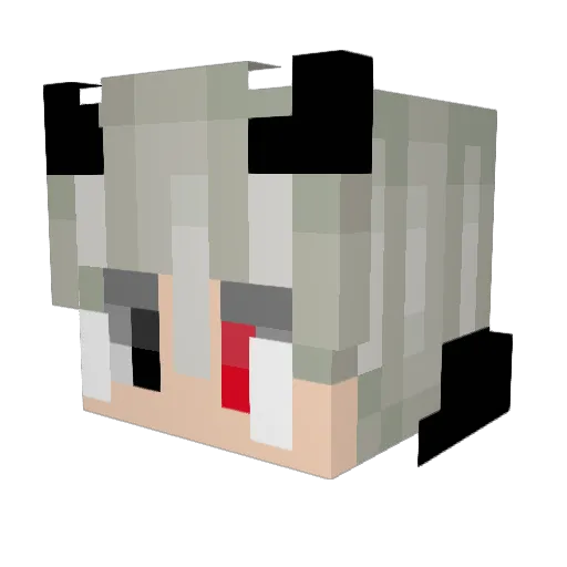 SomeWeeb__ Minecraft avatar head, 3D render