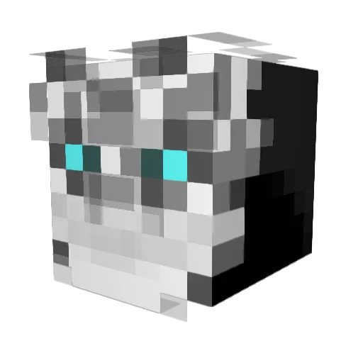 Some_Asian Minecraft avatar head, 3D render