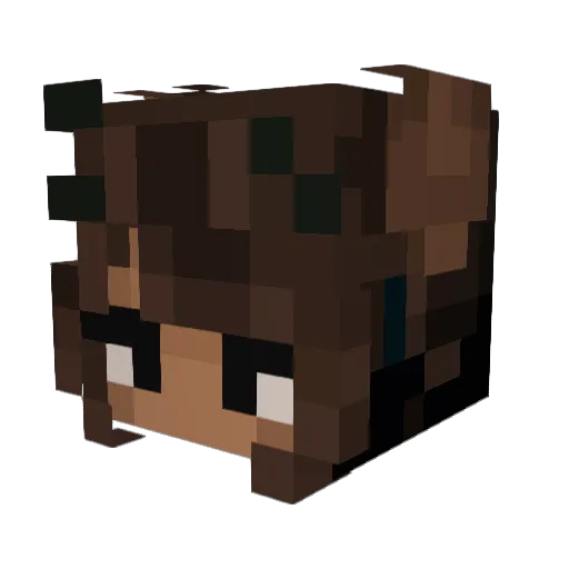 Some_Frog Minecraft avatar head, 3D render