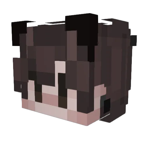 Some_Weird_Trap Minecraft avatar head, 3D render