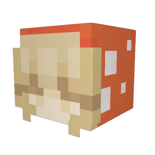 Somebody_lol Minecraft avatar head, 3D render