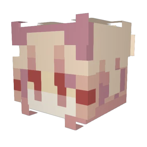 Someon1912 Minecraft avatar head, 3D render