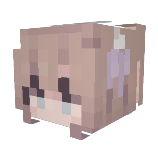 Someone1228 Minecraft avatar head, 3D render