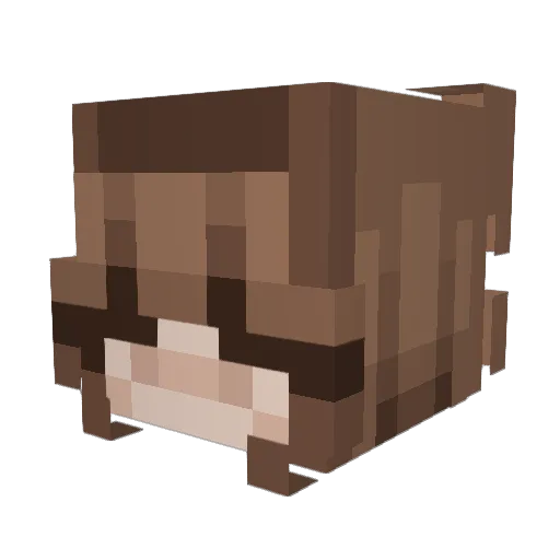Someone225 Minecraft avatar head, 3D render