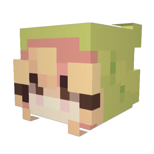 Someone7251 Minecraft avatar head, 3D render