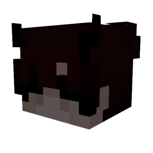 SomeoneNamedWolf Minecraft avatar head, 3D render