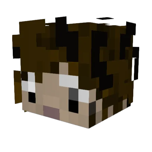 SomeoneTaken Minecraft avatar head, 3D render