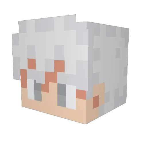 Someperson00 Minecraft avatar head, 3D render