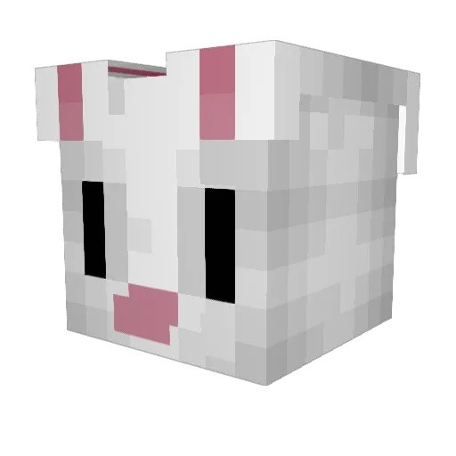 Something7571 Minecraft avatar head, 3D render
