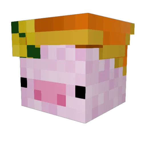 Somethingelesyt Minecraft avatar head, 3D render