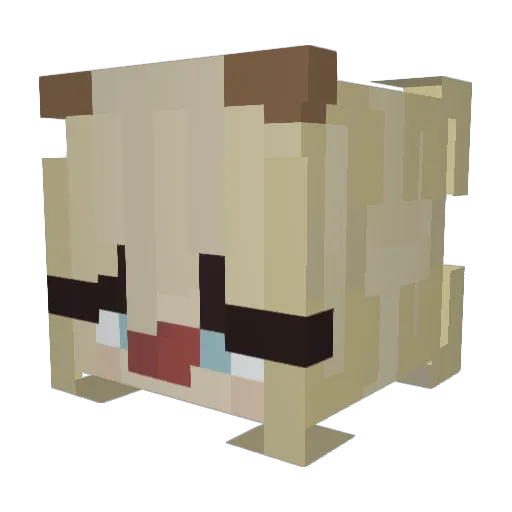 Somethingfound0 Minecraft avatar head, 3D render