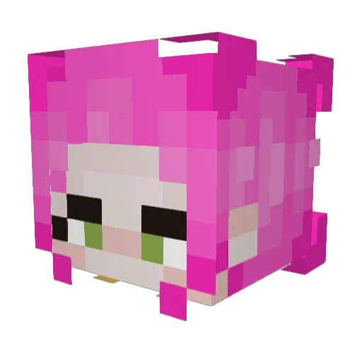Somethingisfishy Minecraft avatar head, 3D render