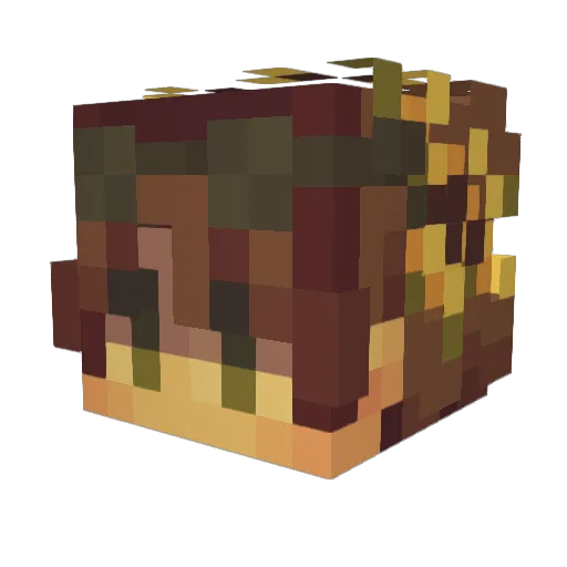 SometimesEcho Minecraft avatar head, 3D render