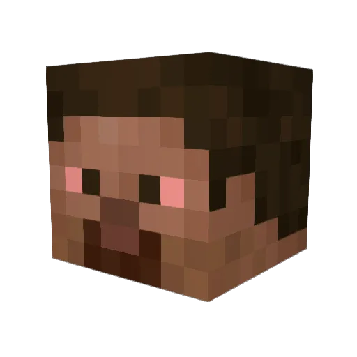 SometimesNo Minecraft avatar head, 3D render