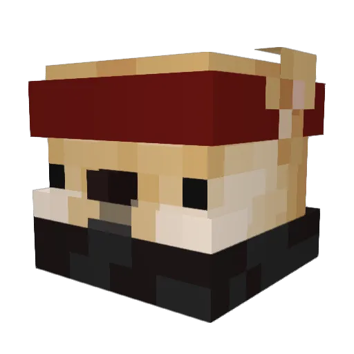 Somin_128 Minecraft avatar head, 3D render