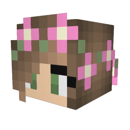 Sommares Minecraft avatar head, 3D render