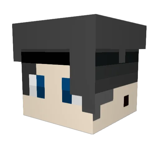 Sommer1904 Minecraft avatar head, 3D render