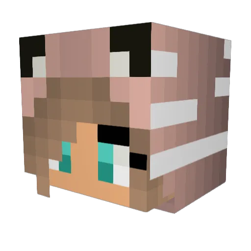 Sommers Minecraft avatar head, 3D render