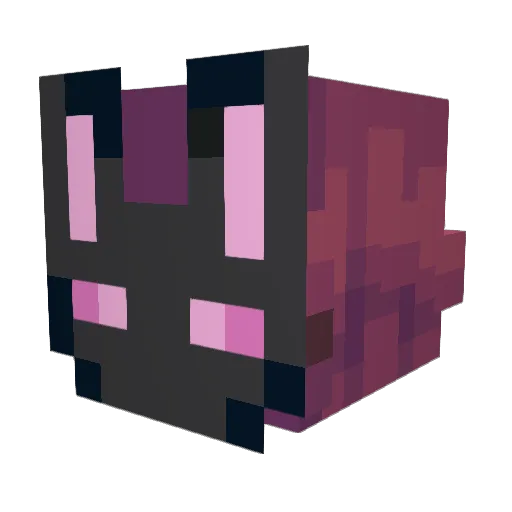 Somnilain_ Minecraft avatar head, 3D render