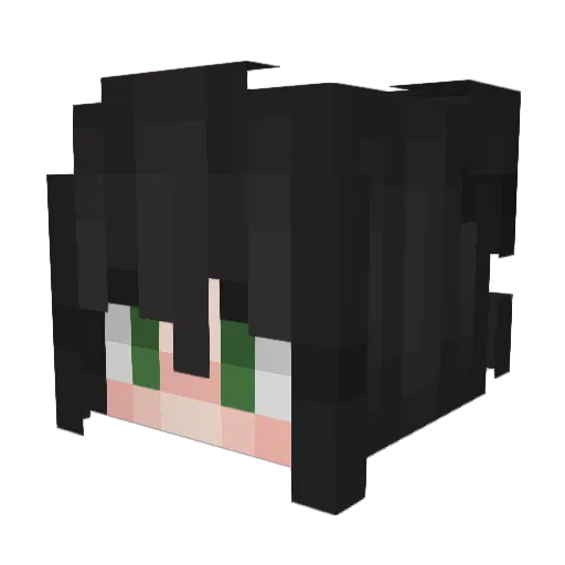 Somnolent2 Minecraft avatar head, 3D render