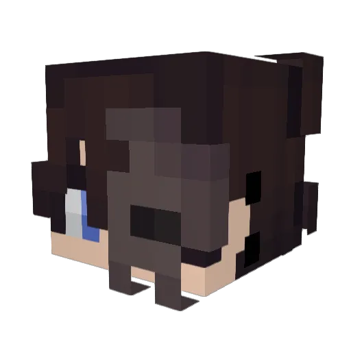 Son0f_Madness Minecraft avatar head, 3D render