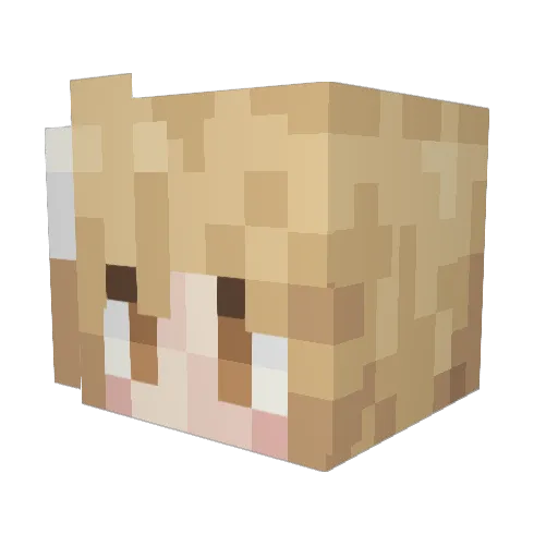 Son1trO Minecraft avatar head, 3D render
