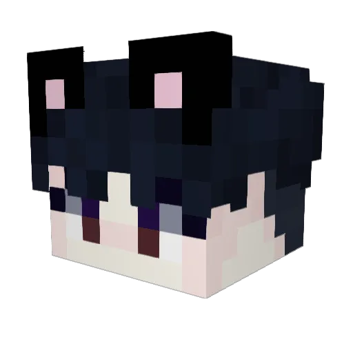SonTofu99 Minecraft avatar head, 3D render