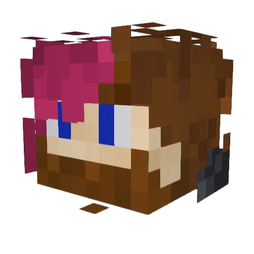 Son_Of_Corellia Minecraft avatar head, 3D render