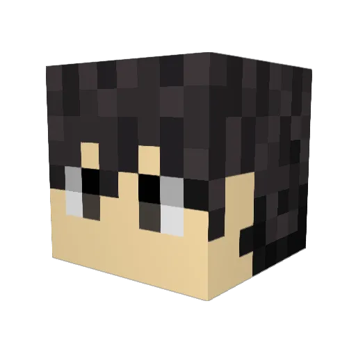 Son_of_kirito Minecraft avatar head, 3D render
