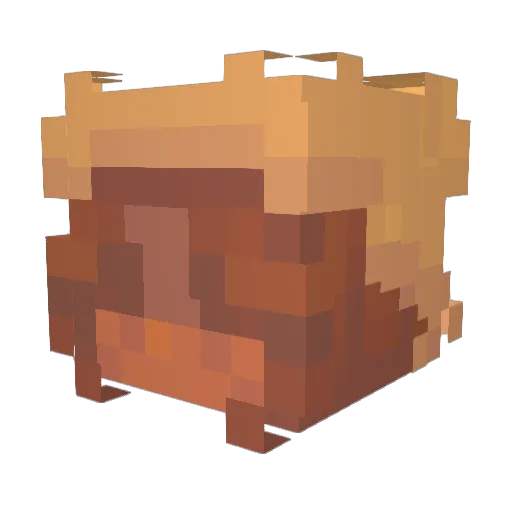 Sona_NZ Minecraft avatar head, 3D render