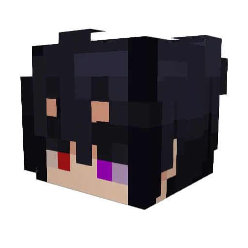 Sonarix4 Minecraft avatar head, 3D render