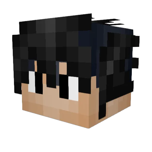 Sonatwo Minecraft avatar head, 3D render