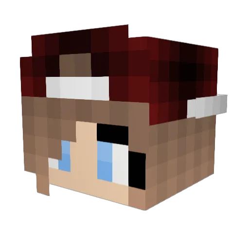 SondaX43 Minecraft avatar head, 3D render