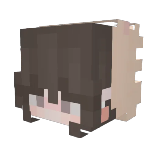 SonderV2 Minecraft avatar head, 3D render