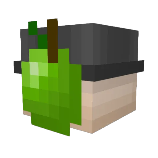 Sonder_Frisson Minecraft avatar head, 3D render